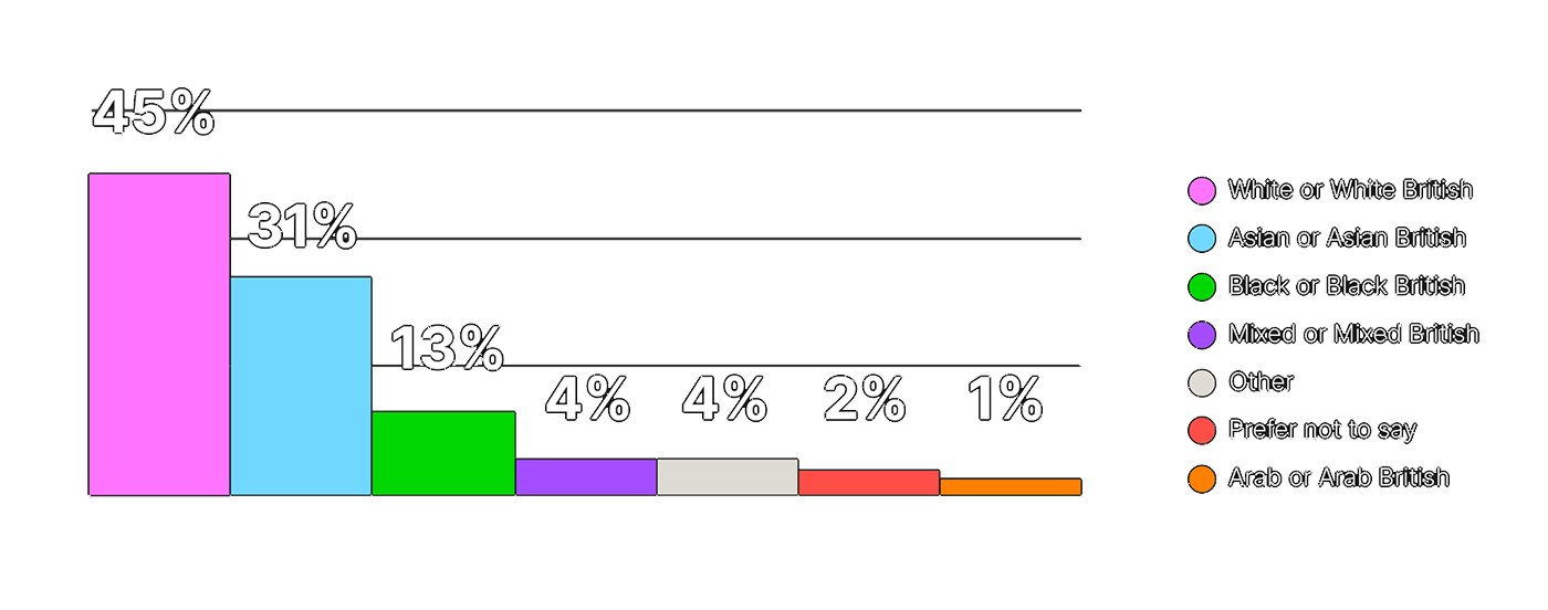 Diversity in numbers infographic